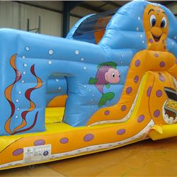 Octopus Slide and Bounce